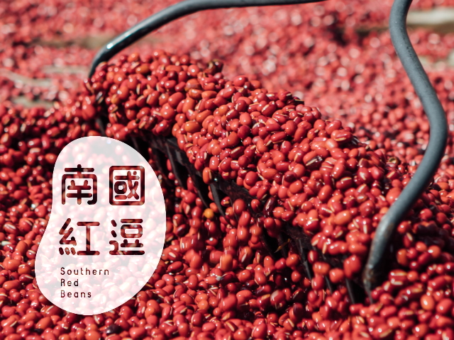 【屏東】南國紅逗,高雄網站設計,高雄網路行銷,高雄網頁設計,MES智能報工