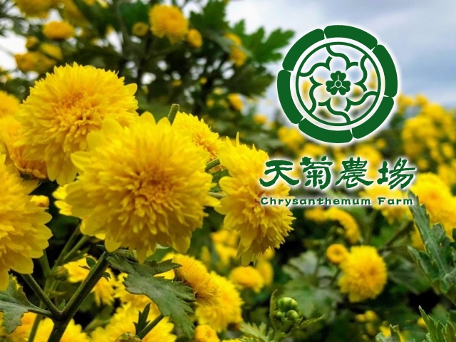 【屏東】天菊農場,高雄網站設計,高雄網路行銷,高雄網頁設計,MES智能報工