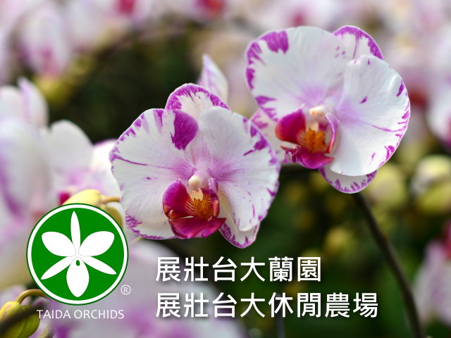 【彰化】展壯台大蘭園,高雄網站設計,高雄網路行銷,高雄網頁設計,MES智能報工