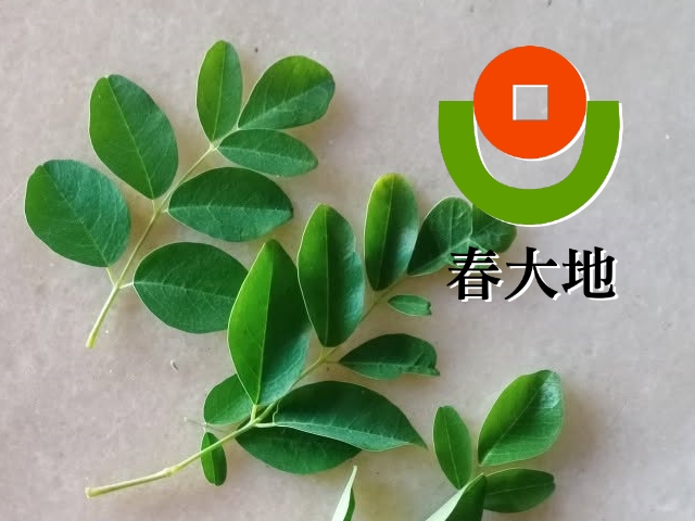 【雲林】春大地,高雄網站設計,高雄網路行銷,高雄網頁設計,MES智能報工