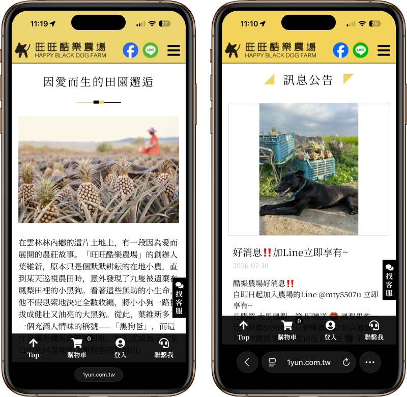 高雄網站設計,高雄網路行銷,高雄網頁設計,MES智能報工